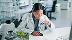 Plant scientist, magnifying glass and woman in laboratory for research and development of medical innovation. Biotechnology, expert and petri dish for sample of gmo and herb seedlings in test tubes