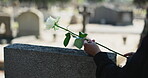 Flower, graveyard or hands of person by tombstones for death ceremony, funeral or memorial service. Pain, closeup and rose on gravestone for mourning, burial or loss in public cemetery for farewell
