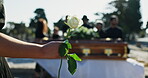 Flower, coffin and hands of person at graveyard for funeral ceremony, death and memorial service. Pain, closeup and rose with casket blur for mourning, burial or loss in public cemetery for farewell