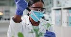 Science, research and woman with plants, pipette and professional with a mask and experiment. Person, nature and testing with tools and safety with climate change and agriculture with sustainability