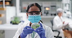 Biologist, scientist and woman with plant in lab, research and science for solution of climate change. Agriculture, food and study by female person, professional and chemist for pharmaceutical