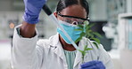 Science, mask and woman with plants, pipette and laboratory for research, safety and medical engineering. Biotechnology, botany and leaves, scientist or lab technician in checking agro study growth.