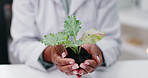 Science, hands and woman with plant in laboratory for research, growth and medical engineering in nature. Biotech, botany and leaves in soil, scientist or lab technician with agro study development.