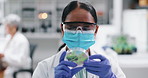 Science, mask and woman with plant sample in laboratory for research, safety and medical engineering in nature. Biotech, botany and leaves in glass, scientist or lab technician in checking agro study