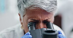 Science, microscope and woman closeup in lab with research in biotechnology and chemistry test. Mature, scientist and check analysis of pharmaceutical results and learning from molecule in bacteria