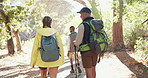 Back, group and hiking with nature, sunshine and forest with wellness and fresh air with weekend break. People, men and women with fitness and hikers with exercise and woods with summer and hobby