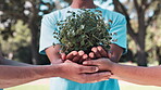 Plant, care and hands of people outdoor to support and volunteer to grow garden in community. Sustainable, gardening and leaves in soil on earth day with charity to help in agriculture closeup