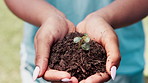 Hands, woman and offer with soil, plant or dirt with agriculture or environment with sustainability. Closeup, outdoor or person showing leaves or spring with hope, eco friendly or growth with ecology