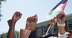 People, fist and flag of Palestine with protest for human rights, activism and alliance for freedom. Diversity, community and collaboration in park for justice, teamwork and hope for peace in Gaza