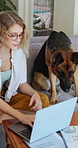 Remote work, laptop and woman in home with dog for company, research and loyalty with animals on couch. Pet care, woman and German Shepard in living room for freelance job, support and relax on sofa