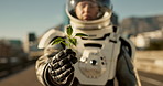 Travel, planet and hands of astronaut with plant for nature, environment and ecosystem restoration. Science fiction, fantasy and spaceman with sprout for growth, research or oxygen on abandoned world