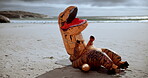Dinosaur, costume and exercise of person, fun and push ups, training or fitness and outdoor in beach. Sports, silly and inflatable, mascot and performance in sea, environment and funny in mask