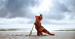 Beach, surfboard and person in dinosaur costume on sand outdoor by ocean or sea for silly dance. Comic, sports and travel with adult surfer in t-rex outfit for surfing holiday or vacation in nature