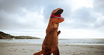 Boxing, comic and dinosaur costume on beach with martial arts or fighting training for sports. Travel, clouds and inflatable animal t rex mascot outfit for boxer with fitness by ocean or sea.
