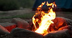 Bonfire, wood and flames or closeup with camping for bbq, light and travel outdoor in woods for adventure. Campfire, burning fire and charcoal for barbecue, heat and cooking for survival in nature
