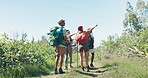 Travel, hiking and friends walking with view on adventure, journey and trekking in forest, nature and woods. Explore, birdwatching and back of men and women on holiday, vacation and weekend outdoors