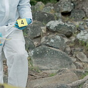 Crime scene, evidence markers and forensic investigation in woods with ...