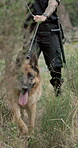 Police officer, FBI and dog at field of crime scene, investigation and inspection with service animal for search in forest. Detective, first responder and German shepherd in grass for emergency