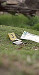 Investigation, evidence marker and forensics at crime scene in woods with photographs of proof for robbery. Accident, analysis and homicide with yellow numbers for case research in outdoor forest