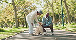 Couple, senior people and dog in park with smile for walk, exercise and fitness on retirement in New York. Relationship, pet and happy with workout outdoor for health, wellness and  bonding as family