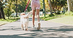 Fitness, running and woman walking dog on street in park of neighborhood for training from back. Cardio, exercise and legs of pet owner person with animal companion outdoor in summer for obedience