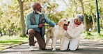 Couple, senior people and happy with dog in park for walk, exercise and fitness on retirement in New York. Relationship, pet and smile with workout outdoor for health, wellness and  bonding as family