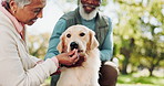 Interracial couple, dog and treat with snack in nature for walk, run or game of fetch at outdoor park. Senior man and woman or owners giving pet, animal or Labrador food for reward, love or care