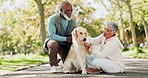 Couple, senior people and bonding with dog in park for walk, exercise and fitness on retirement in New York. Relationship, pet and workout in outdoor for health, wellness and wellbeing as family