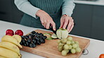 Kitchen, woman and hand with cutting of apple at home for nutrition, vitamins and healthy diet. Knife, board and person with fruit on table in house for meal prep, organic snack and vegan food