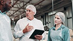 Shipping, team and manager with tablet in warehouse for inspection, production or distribution. Discussion, factory and mature man with industrial employees for logistics, export or supply chain