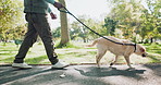 Legs, person and dog in park for walk, exercise and fitness, care and support in New York. Man, pet and leash with workout outdoor for health, wellness and wellbeing or self care with animal