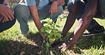 Hands, planting and community project in nature, park and garden for sustainable environment. Teamwork, climate change and working volunteers with flower, growth and green ecology for earth day