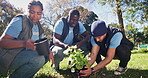 Teamwork, planting and community service in park, nature and garden for sustainable environment. Collaboration, climate change and happy volunteers with flower, growth and green ecology for earth day