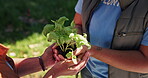 Gardening, hands and huddle with volunteer group together for environment sustainability or growth. Activism, earth day and plants with people planting outdoor for charity or community from above