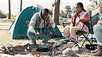 Friends, cooking and camping fire in nature, smile group and holiday or vacation with food. Bonfire, adventure and bonding together with meal in outdoor, relax and campsite for warm or picnic in park