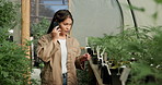 Growth, phone call or woman farming in greenhouse for marijuana leaf production or weed harvest. Mobile conversation, talking or farmer gardening cannabis for planting check or agriculture inspection