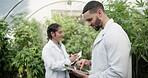 Greenhouse, discussion and scientist with tablet for plant research, agriculture and crop inspection with tech. Nature, biologist and digital with lab coat, production check and growth sustainability