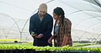 Seedling, greenhouse and inspect with plant, people and conversation for organic produce, quality control and harvest. Man, woman and farmers with discussion, soil and dirt with agriculture and talk