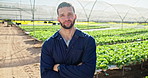 Farmer, face and businessman with arms crossed in greenhouse for eco friendly, growth or sustainable business startup. Agriculture, sustainability and portrait of farm worker with supply chain pride