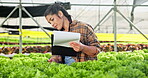 Farmer, woman and clipboard of inspection in greenhouse for plant analysis, growth or checklist by agriculture progress. Texture, person and food production, quality control or information of harvest