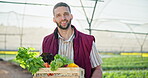 Agriculture, box and farmer man in greenhouse with vegetables for growth or sustainability. Food, portrait and produce with happy person on green farm in countryside for agro or grocery industry