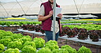Man, inspection and checklist in greenhouse for agriculture, sustainable or organic produce for farming and writing. Farmer, clipboard and quality control for agro development, cultivation and growth