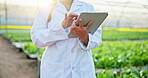 Greenhouse, scientist or person with tablet for research, farming or agriculture inspection with tech. Nature, farmer and digital for plant monitor, crop production and garden management in Australia