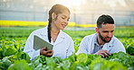 Tablet, greenhouse and scientist team check plant for agriculture research, innovation or botanist study organic food. Tech, farm or science people on leaf for gmo, ecology and natural sustainability