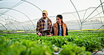 Farmers, plants and checklist in greenhouse for agriculture, sustainable or organic farming and inspection for quality control. People, man and woman with clipboard or discussion for agro development