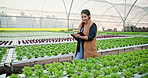 Farm, clipboard and girl walking in greenhouse for plant growth inspection, notes or checklist in nature. Agriculture, sustainability and agro manager with documents for botany, compost or inventory