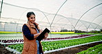 Writing, clipboard and woman farmer in greenhouse for plant growth inspection, note or checklist in nature. Agriculture, sustainability or proud agro manager with botany documents, leaf or inventory