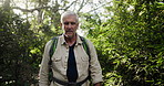 Senior, walking or man hiking in forest on adventure to explore on holiday vacation, trail or path. Wellness, trees or male hiker trekking in woods outdoors for travel journey or health in nature