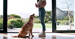 Love, sit and woman with dog in home patio to train and play with animal trick. Pet owner, happiness and person on floor for obedient companion, care and wellness or friendship in cozy apartment