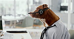 Office, business and dog with headset and laptop for call center, customer service and telemarketing. Pet, animal and Pitbull with computer in professional workplace for humor, consulting and comic